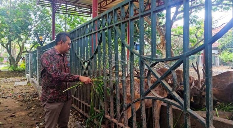 Anggaran Perawatan Kebun Binatang Mini Pemkab Tulungagung Senilai Rp180 Juta